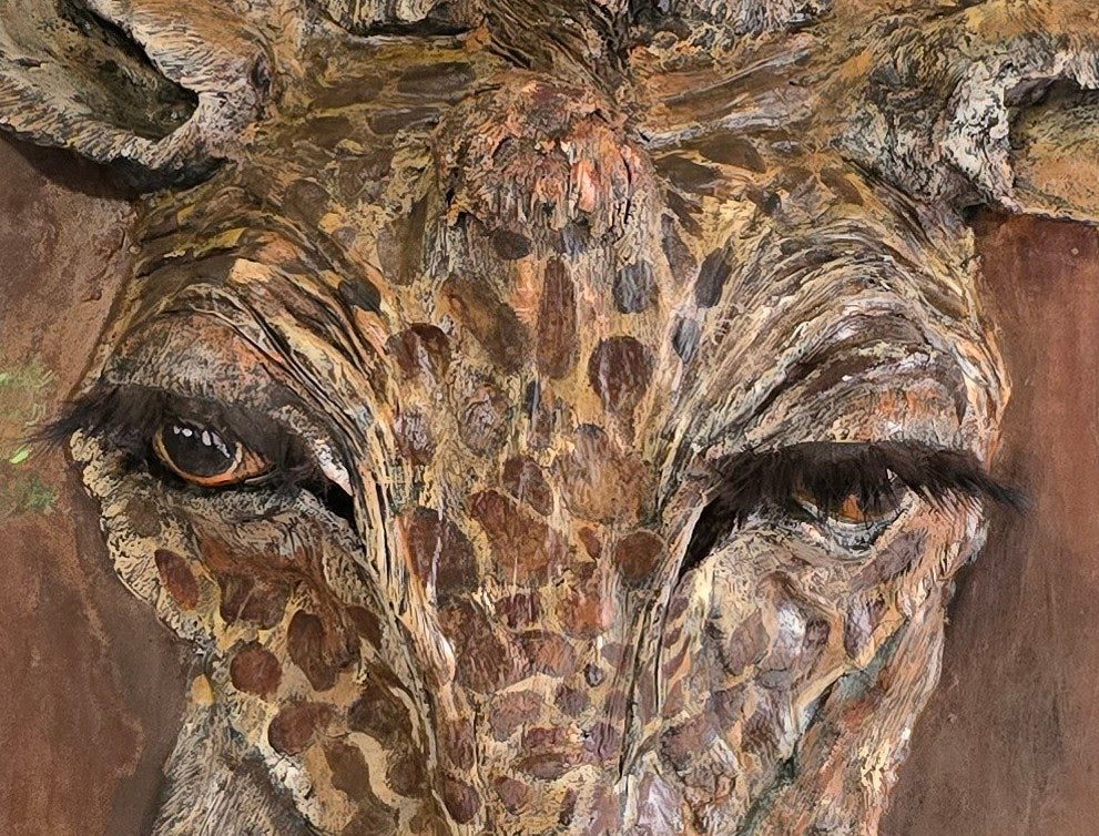"JAFFA'S GAZE"